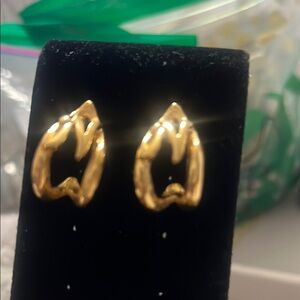 Elegant Gold colored letter N Earrings